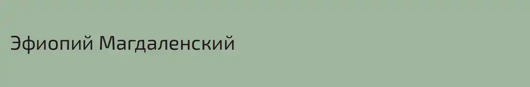 Эфиопий Магдаленский